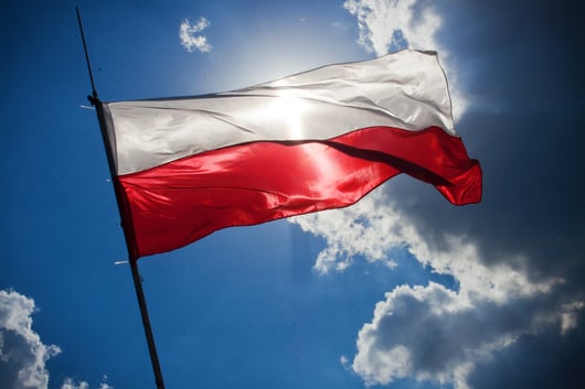 A Covert Action: The Cold War Struggle in Poland